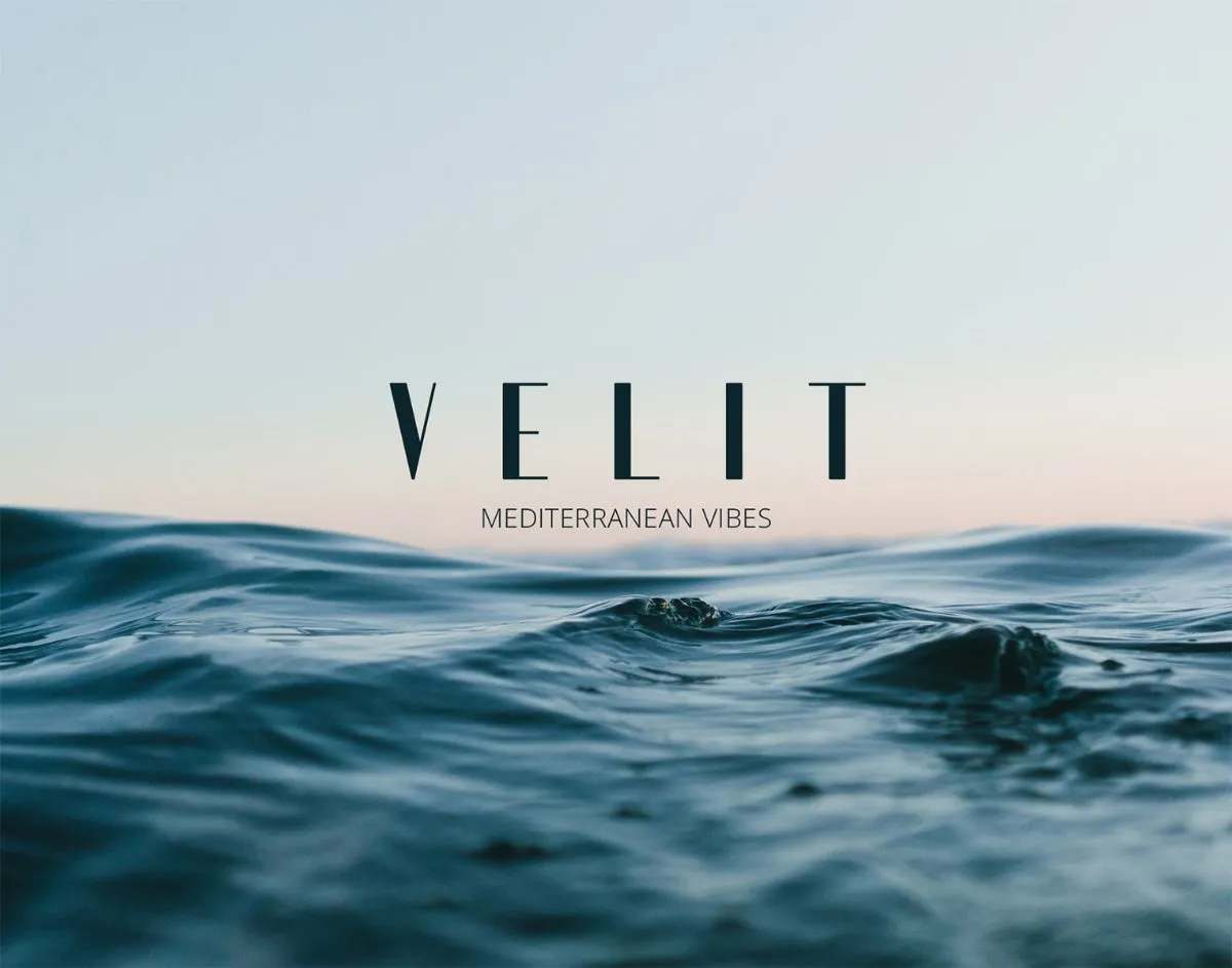 velit02